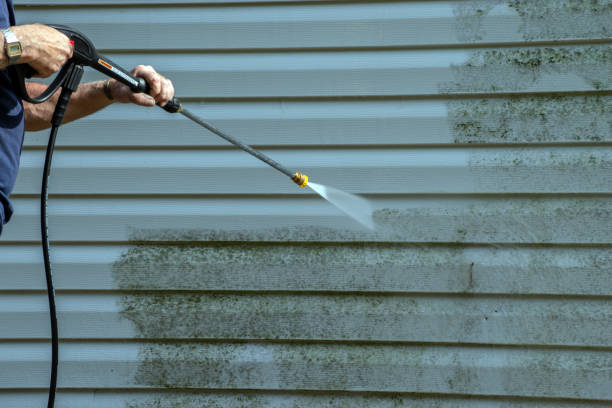 Best Driveway Cleaning and Restoration in Batesville, TX